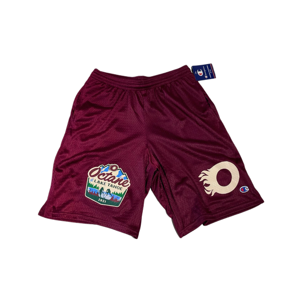 Octane Mesh Shorts (Burgundy)