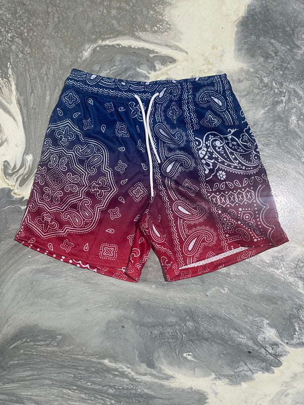 Te Paisley Shorts (blue/red)