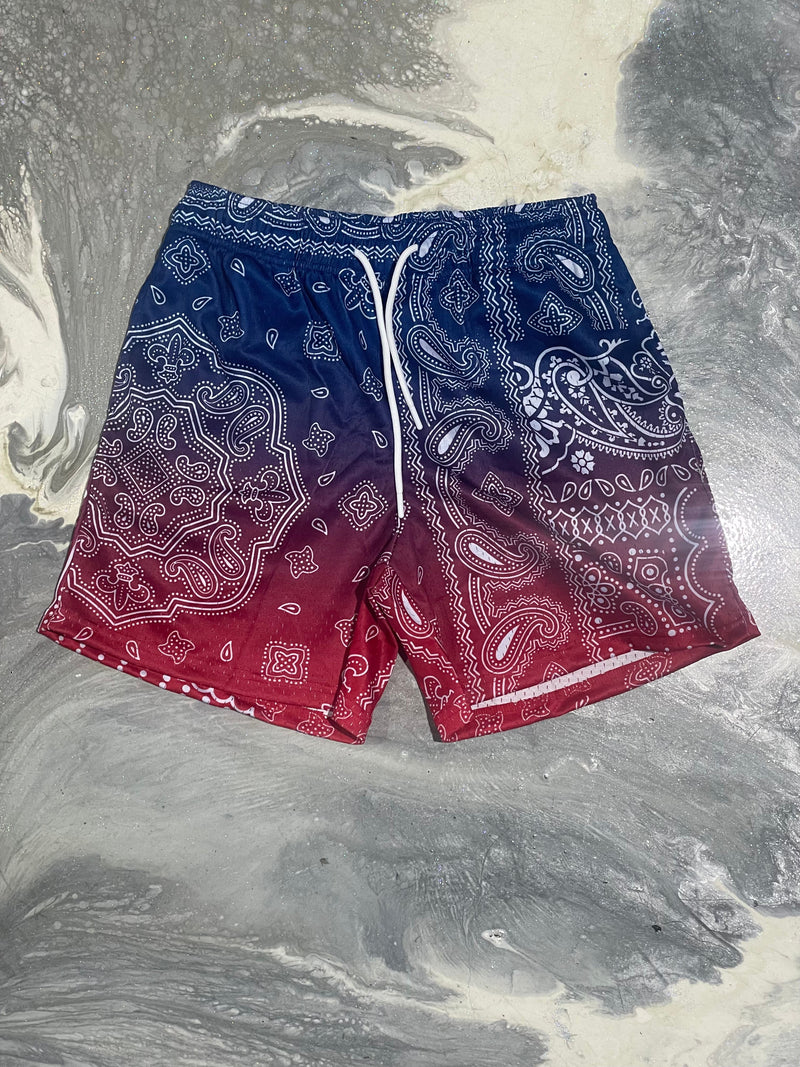 Te Paisley Shorts (blue/red)